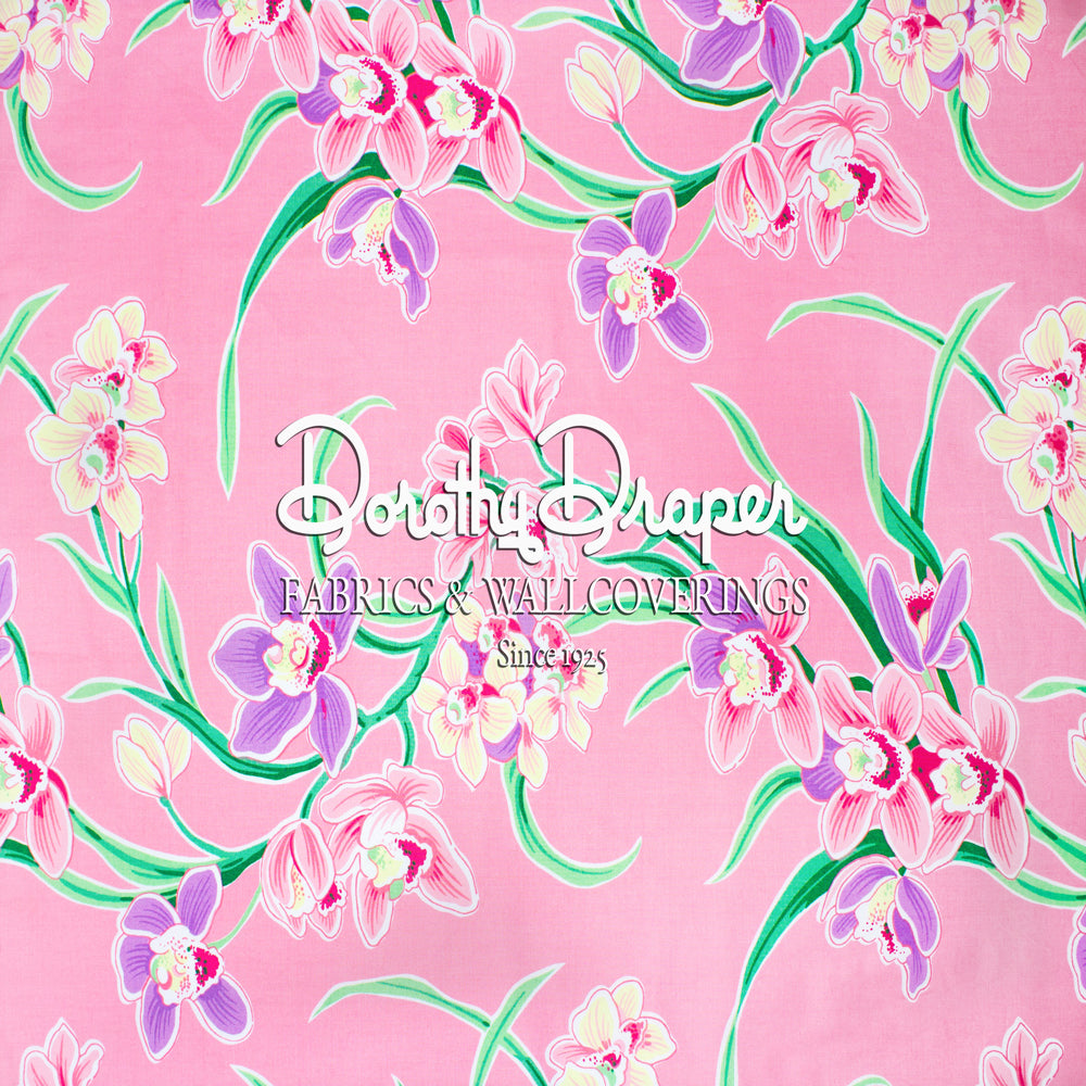 cymbidium-orchid-_pink_-full-size_6.jpg