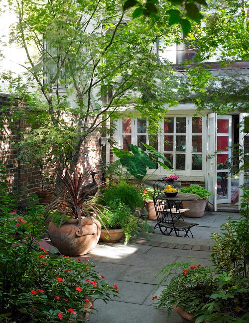 Southwest Color Can Thrive in Palm Beach