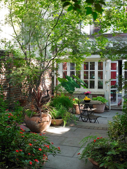 Southwest Color Can Thrive in Palm Beach