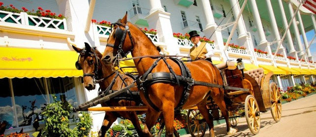 Horse-drawn carriages an inspiration when decorating