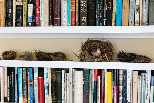 Books always deserve a place in today’s home