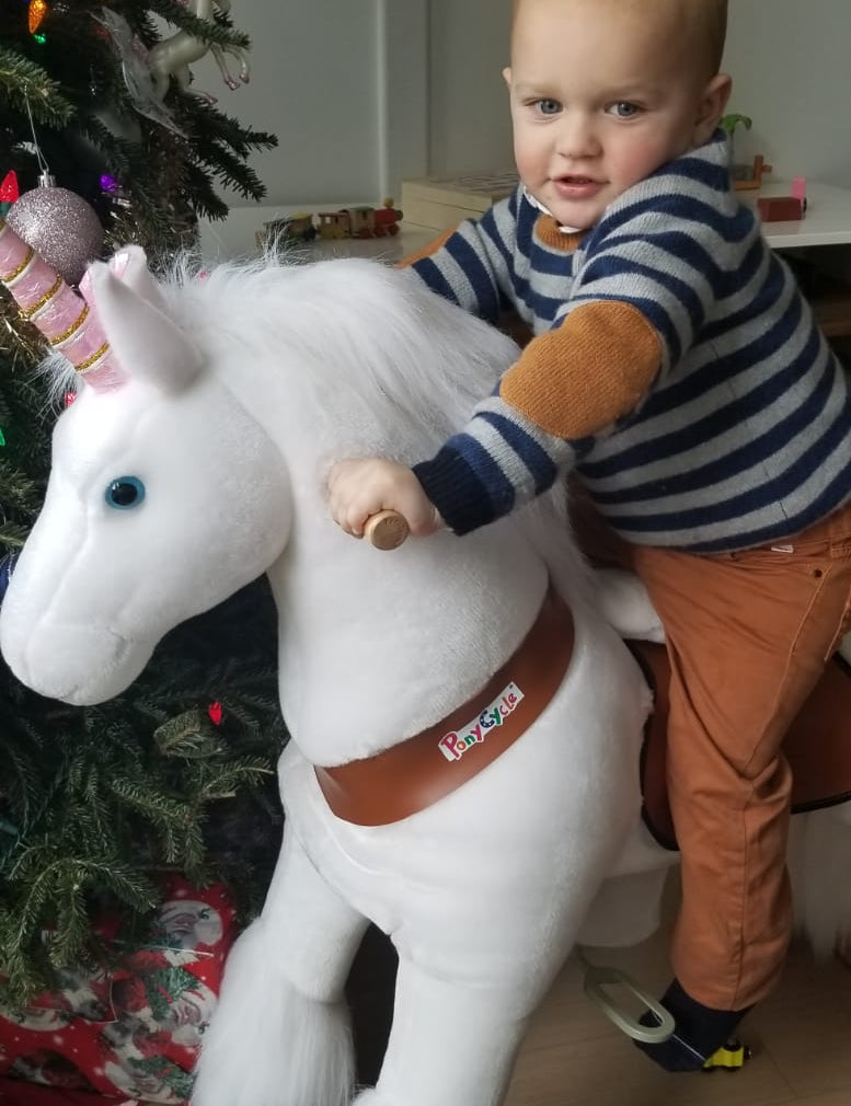Horses Ride Rescue For Many A Room