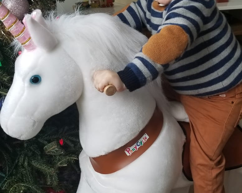 Horses Ride Rescue For Many A Room