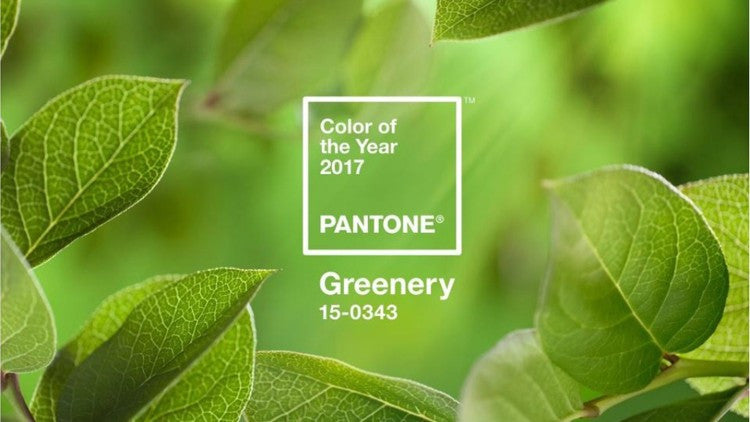 Try a little Greenery for a fresh look