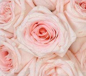 Wedding-inspired color scheme would be a blushing success
