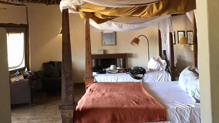 Barbara Eden’s Travels Inspire Thoughts of Safari Colors and Tanzanite