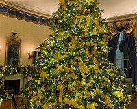 White House Holiday Decor Astonishes