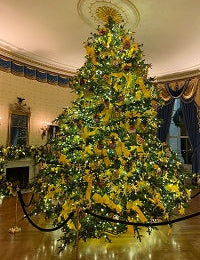 White House Holiday Decor Astonishes