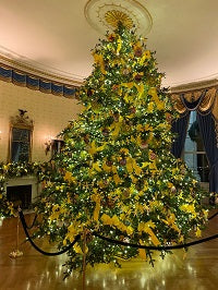 White House Holiday Decor Astonishes