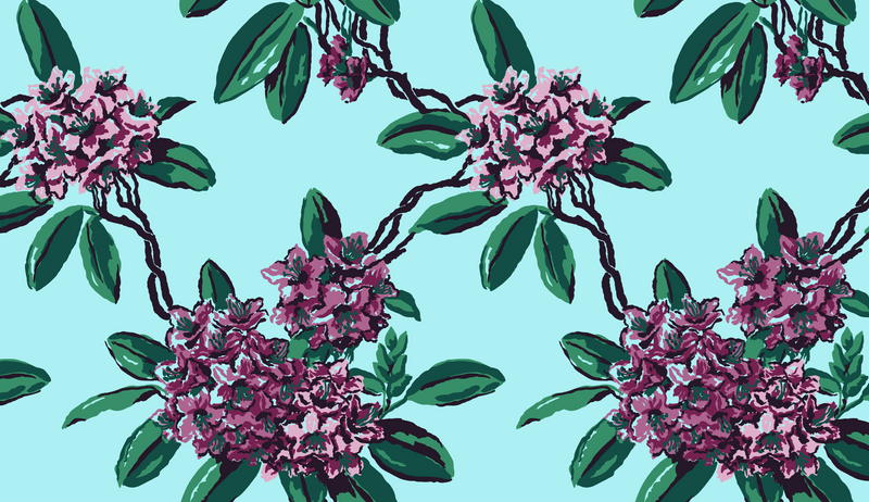 RHODODENDRON