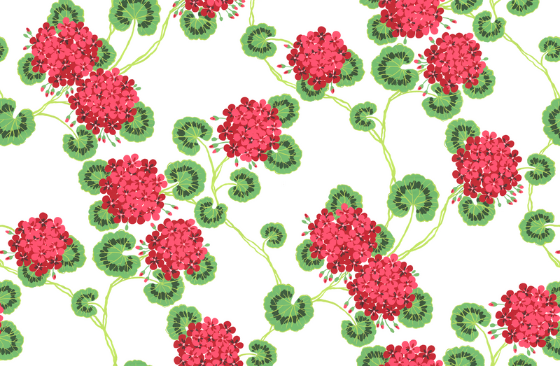GERANIUM