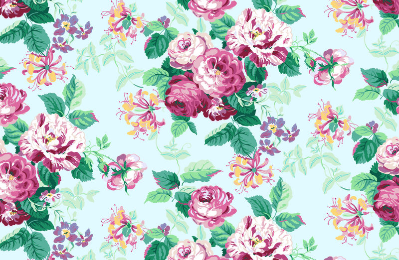 CAROLINA CHINTZ