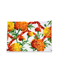 Set of Four Placemats - Marigolds Orange