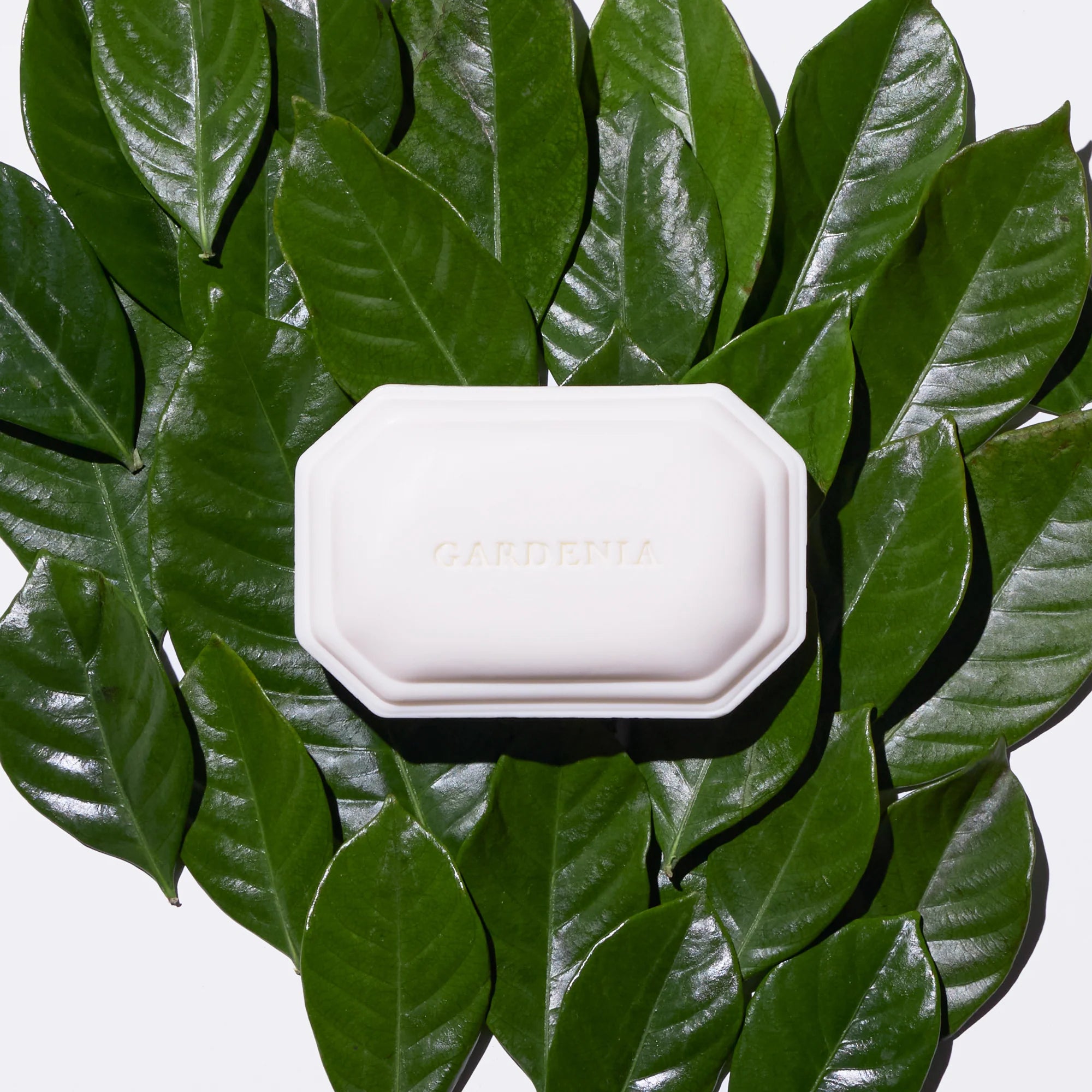 Gardenia Luxury Bar Soap