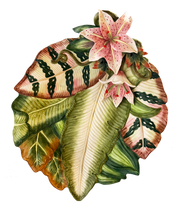 Vintage Ceramic Lily Platter