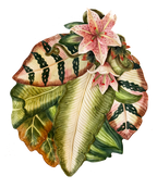 Vintage Ceramic Lily Platter