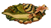 Vintage Ceramic Lily Platter