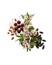 Almond Eau De Toilette