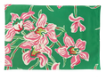 Set of Four Placemats - Akakina Green