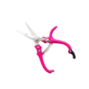 Pruning Shears