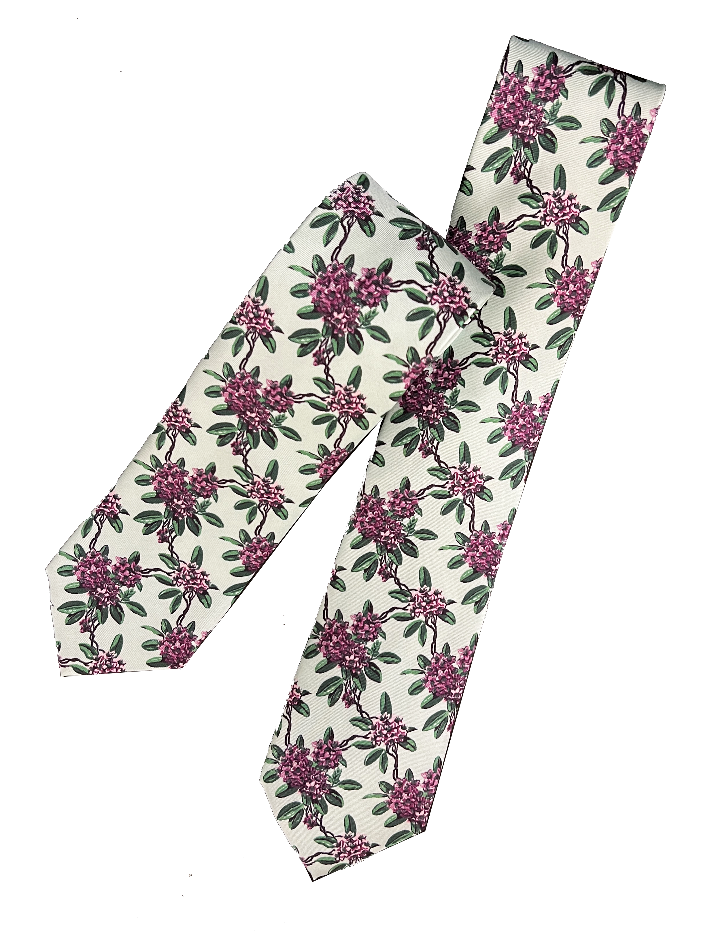 Rhododendron Necktie
