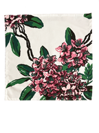 Set of Four Dinner Napkins - Rhododendron White