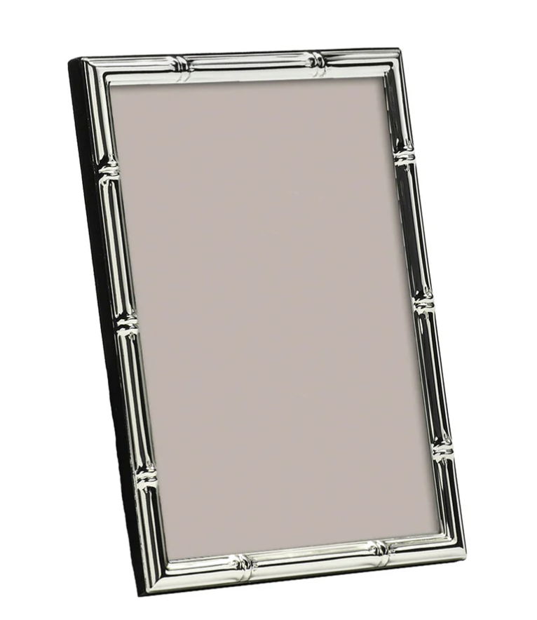 Bamboo Silver Frame