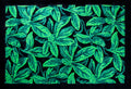 Rhododendron Rug With Straight Black Border